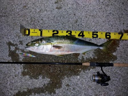 夕暮れのプチsalt water game…