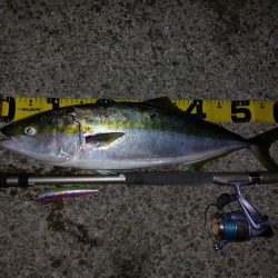 夕暮れのプチSalt water Game