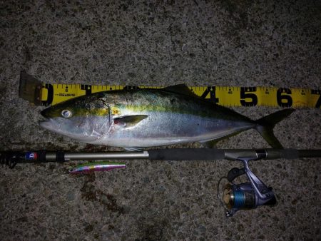 夕暮れのプチSalt water Game…