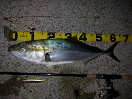 夕暮れのプチsalt water game…