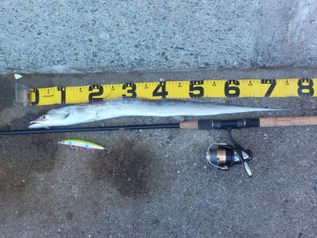 プチsalt water game