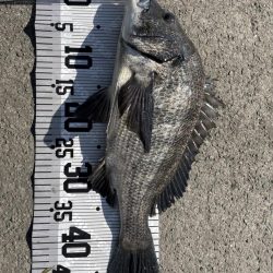 イチノ兄弟(兄)、釣果!