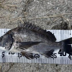 イチノ兄弟（兄）釣果！