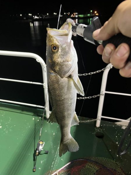 明暗でルアー釣り