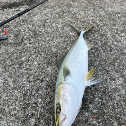 呑ませリベンジ成る！！