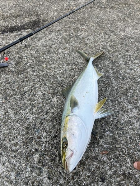 呑ませリベンジ成る！！