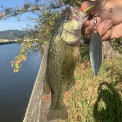 夕方から近くの川へ