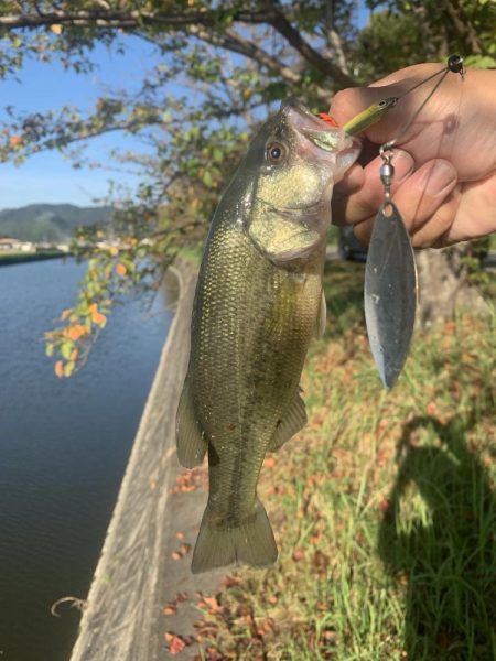 夕方から近くの川へ