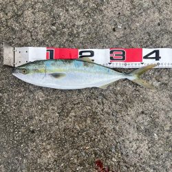 ショアジギング