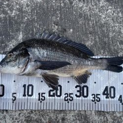 イチノ兄弟、釣果!