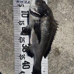 イチノ兄弟、釣果!