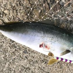 型は小さいが好調