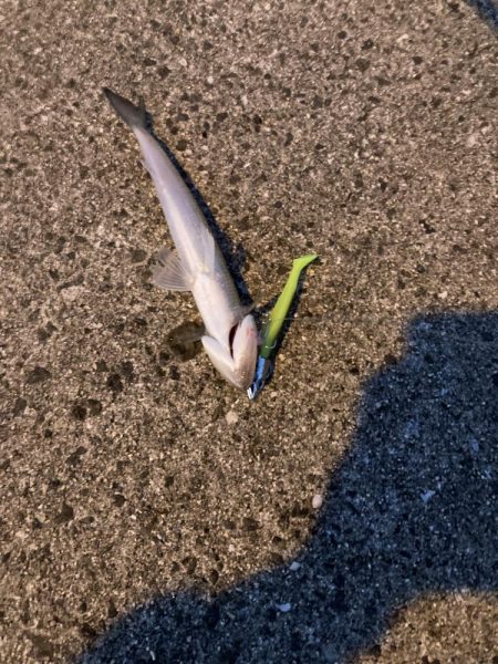 3バイト1キャッチ