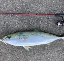 人生初の80オーバー