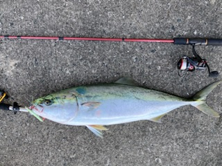 人生初の80オーバー