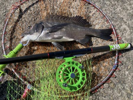 2枚のみだったが楽しめた