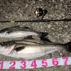 今季4本目ランカーシーバス