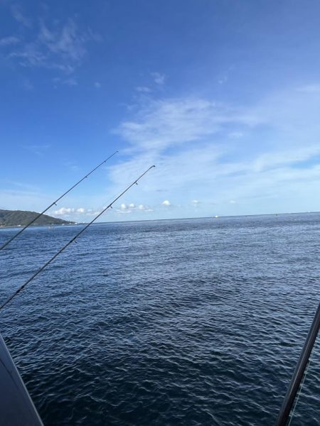 ごきげんイカが？