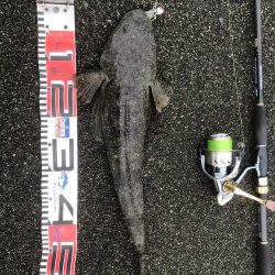 久々フラットゲット！