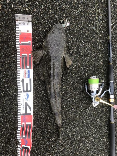 久々フラットゲット！