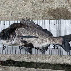 イチノ兄弟、釣果!