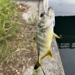 メッキトップゲーム