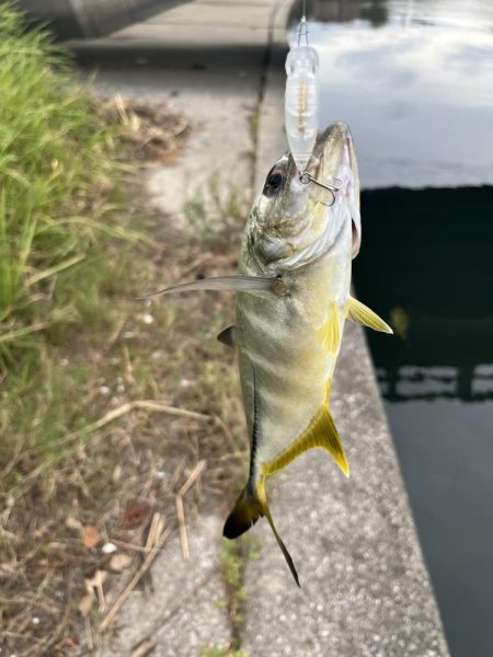 メッキトップゲーム