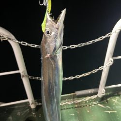 何も釣れない中、太刀魚釣れました。