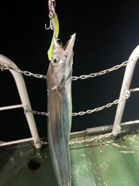 何も釣れない中、太刀魚釣れました。