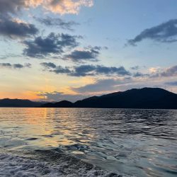 ナイトティップラン