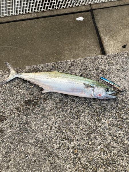 落ちパク！！！