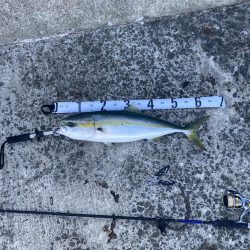 もう少しでブリ