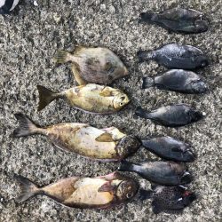 先週に引き続き釣行