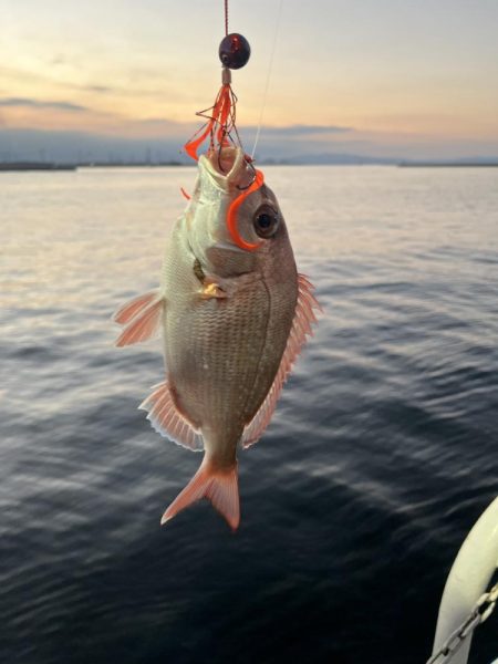 タイラバにタイ