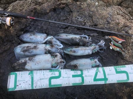 2022 佐渡ヶ島エギング 20回目【9月30日】