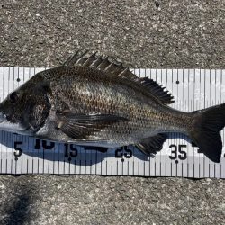 イチノ兄弟、釣果！