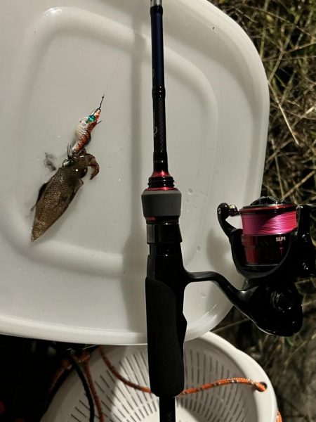 アジングのつもりが