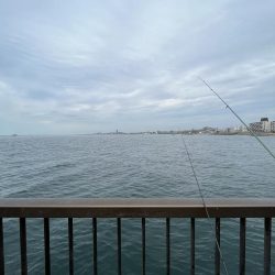 渋い季節の入り口