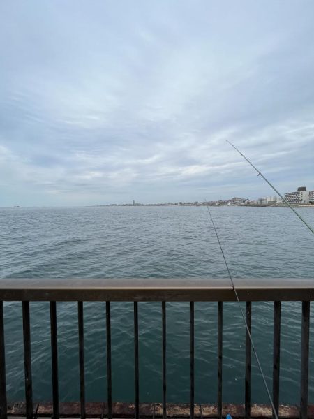 渋い季節の入り口