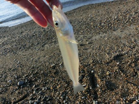 キス狙いで外道が