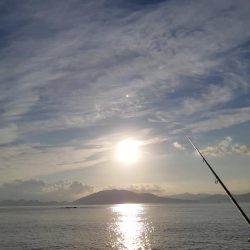 イカの気持ち６