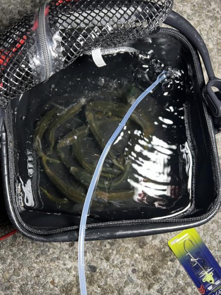 最高のロケーションで釣り！