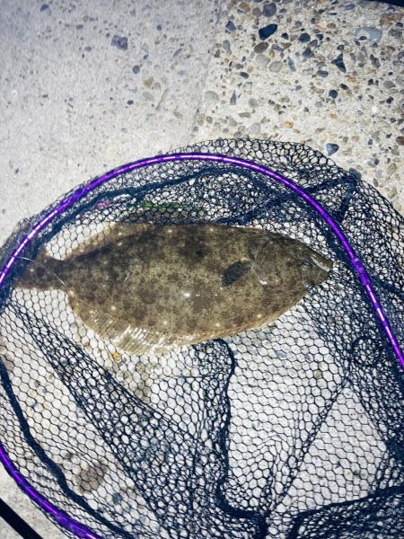 久々の高級魚^_^