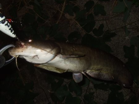 今回が今シーズンラスト釣行かも！？