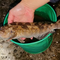 海の中でもハロウィンパーティー