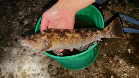 海の中でもハロウィンパーティー