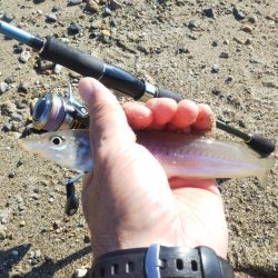 ちょい投げキスⅡ