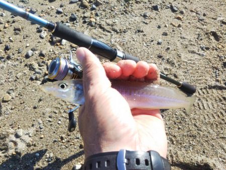 ちょい投げキスⅡ