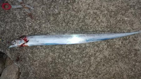 前々回のリベンジ