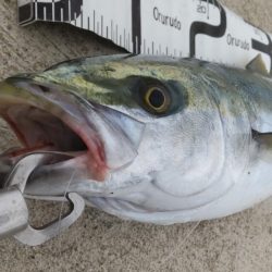 必死のランディング